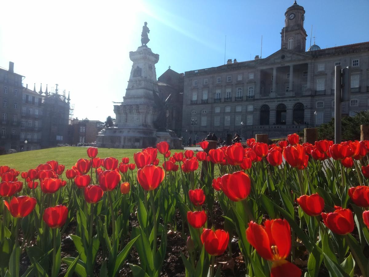 Merc Porto Ribeira'S Up Place Luaran gambar